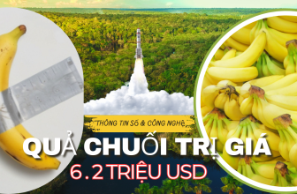 Quả chuối trị giá 6.2 tỷ USD